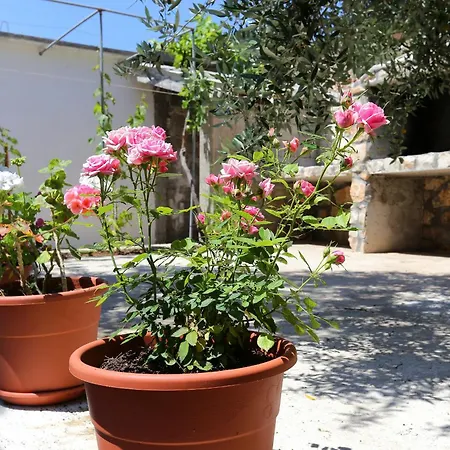 Апартаменты Dingac - Potocine 4533a *