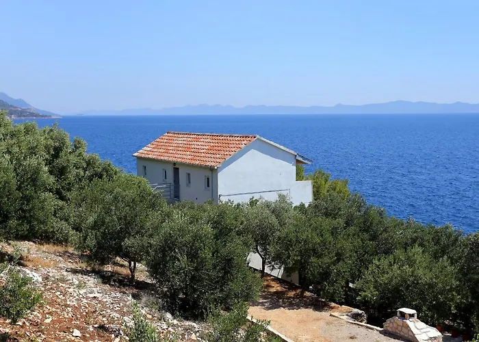 Dingac - Potocine 4533a Potomje