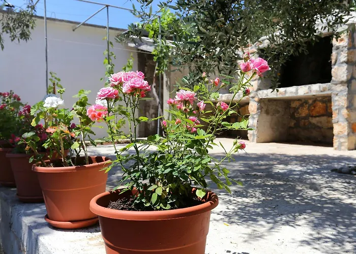 公寓 Dingac - Potocine 4533a *