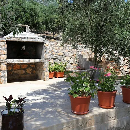 Dingac - Potocine 4533a * Potomje