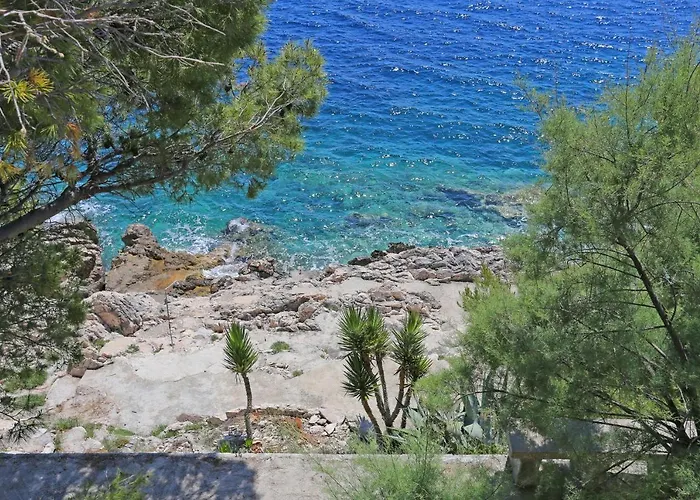 Dingac - Potocine 4533a